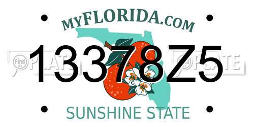 13378Z5 Florida License Plate