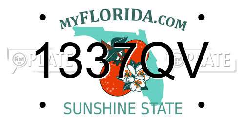 1337QV Florida License Plate