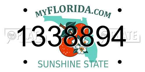 1338894 Florida License Plate