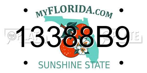 13388B9 Florida License Plate