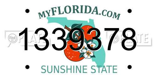 1339378 Florida License Plate