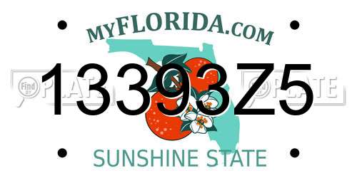 13393Z5 Florida License Plate