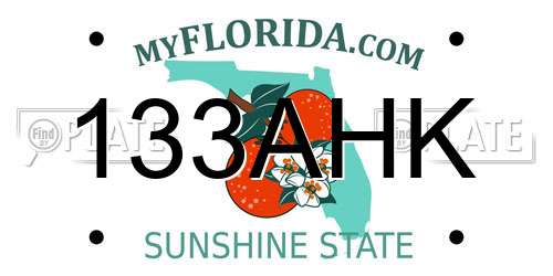 133AHK Florida License Plate