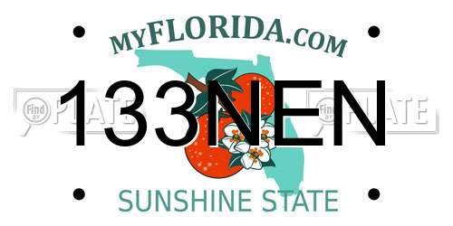 133NEN Florida License Plate