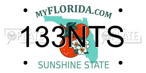 133NTS Florida License Plate