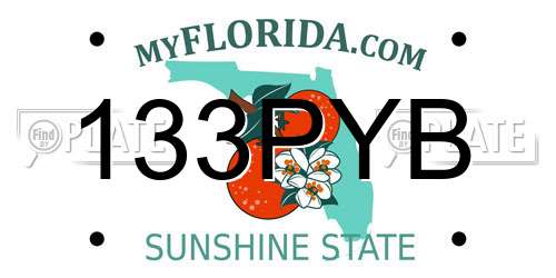 133PYB Florida License Plate