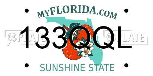 133QQL Florida License Plate