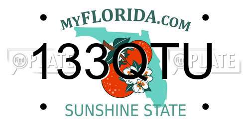 133QTU Florida License Plate