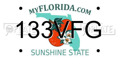 133VFG Florida License Plate