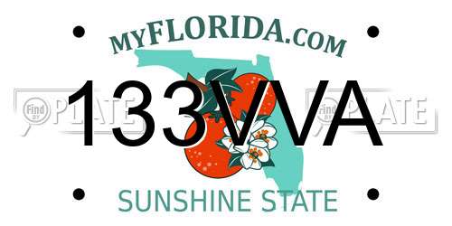 133VVA Florida License Plate
