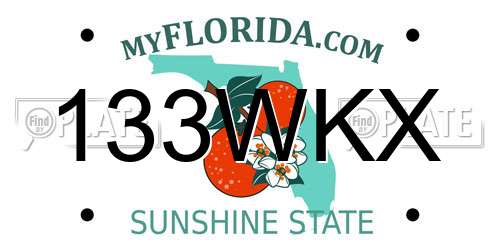 133WKX Florida License Plate