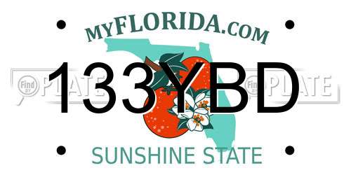 133YBD Florida License Plate