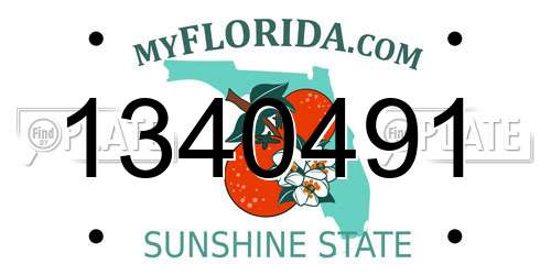 1340491 Florida License Plate