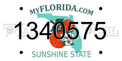 1340575 Florida License Plate