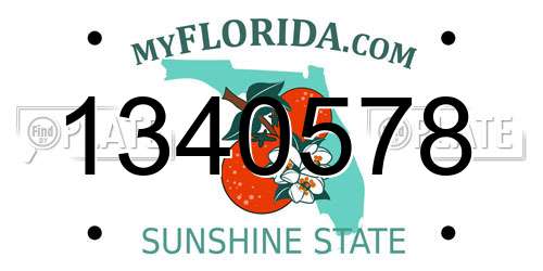 1340578 Florida License Plate