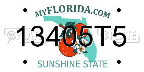 13405T5 Florida License Plate