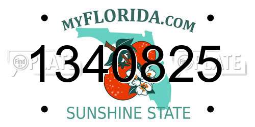 1340825 Florida License Plate