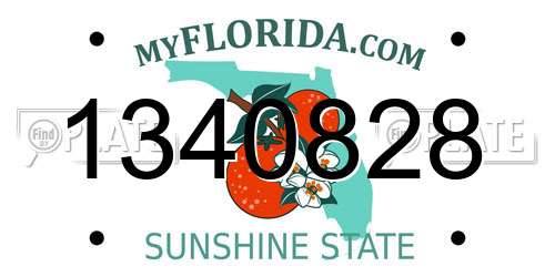 1340828 Florida License Plate