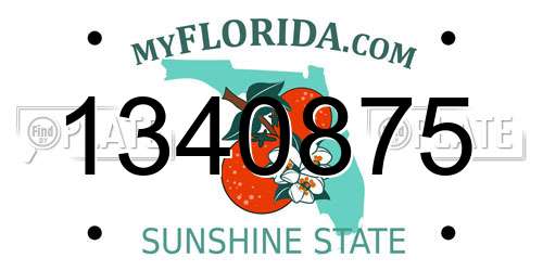 1340875 Florida License Plate