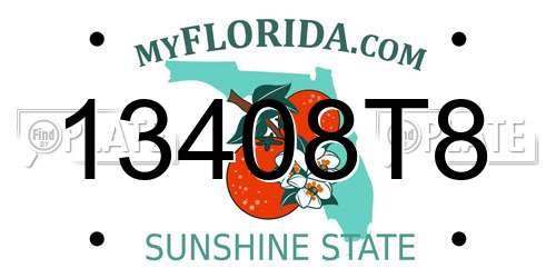 13408T8 Florida License Plate