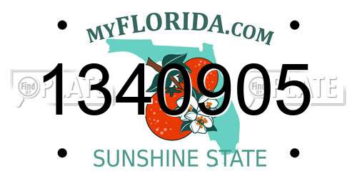 1340905 Florida License Plate