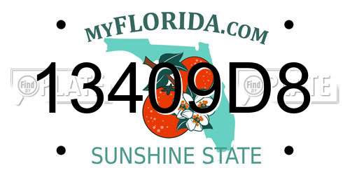 13409D8 Florida License Plate