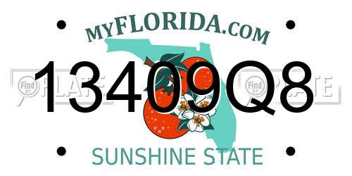 13409Q8 Florida License Plate