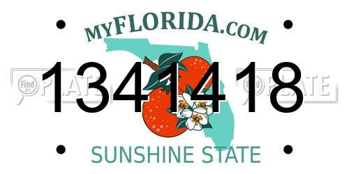 1341418 Florida License Plate