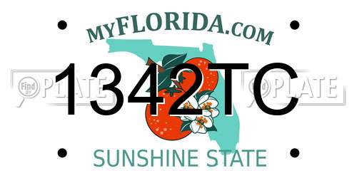 1342TC Florida License Plate