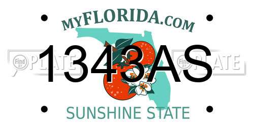 1343AS Florida License Plate