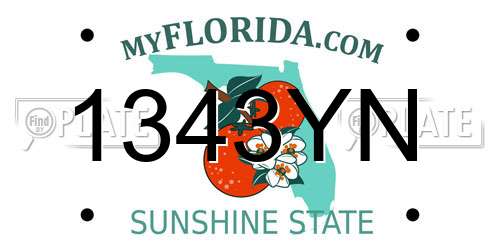 1343YN Florida License Plate