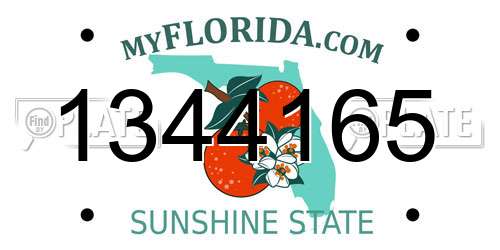 1344165 Florida License Plate