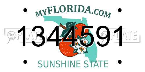 1344591 Florida License Plate