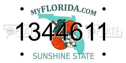 1344611 Florida License Plate