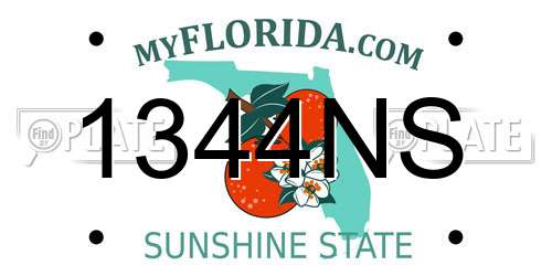 1344NS Florida License Plate