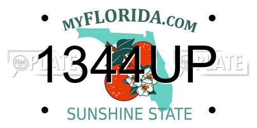 1344UP Florida License Plate