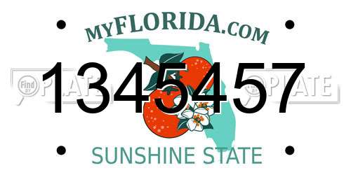 1345457 Florida License Plate