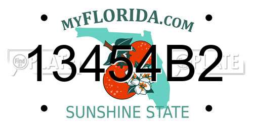 13454B2 Florida License Plate