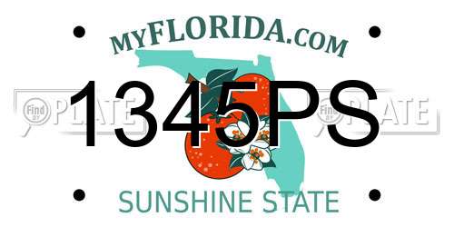 1345PS Florida License Plate