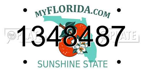 1348487 Florida License Plate