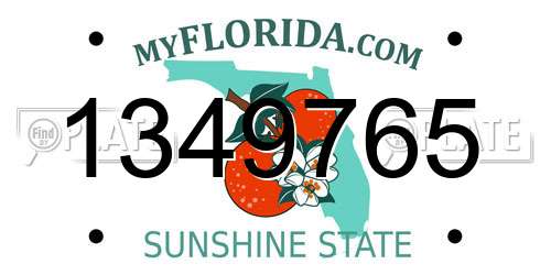 1349765 Florida License Plate