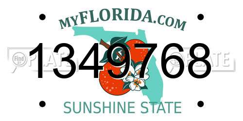 1349768 Florida License Plate