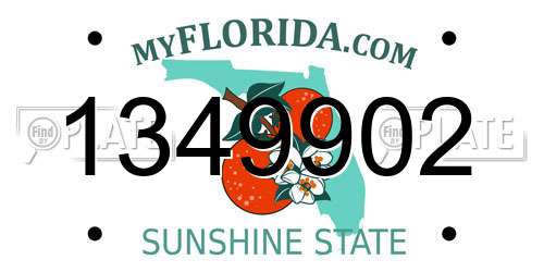 1349902 Florida License Plate