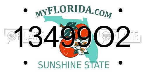 13499O2 Florida License Plate