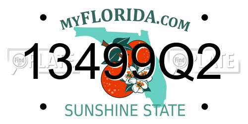 13499Q2 Florida License Plate