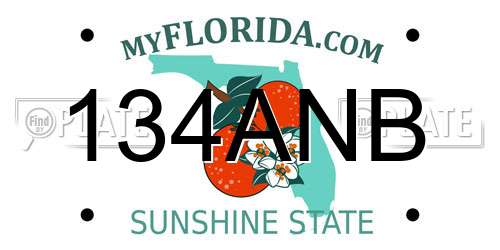 134ANB Florida License Plate