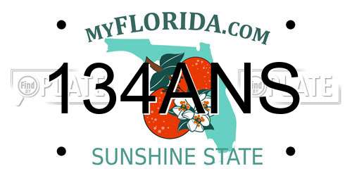 134ANS Florida License Plate