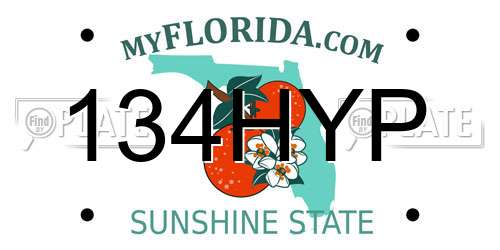 134HYP Florida License Plate