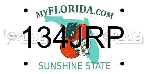 134JRP Florida License Plate