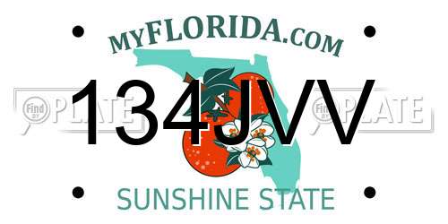 134JVV Florida License Plate